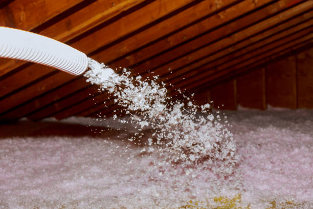 Best Fiberglass Insulation  in Elverta, CA