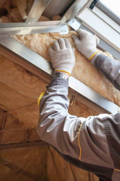 Best Insulation for New Construction  in Elverta, CA