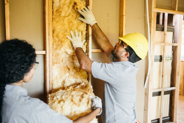 Best Crawl Space Insulation  in Elverta, CA