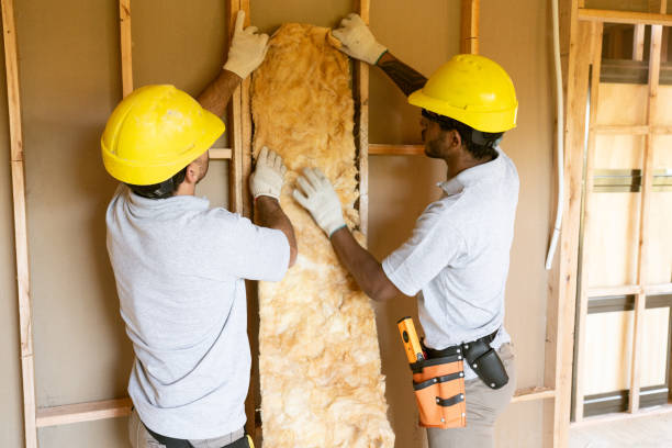 Best Attic Insulation Installation  in Elverta, CA