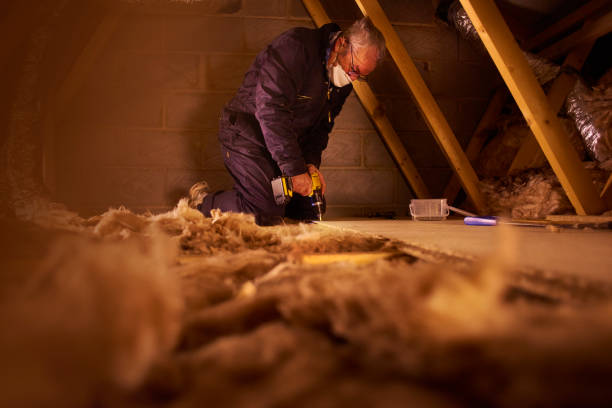 Best Insulation Inspection Services  in Elverta, CA